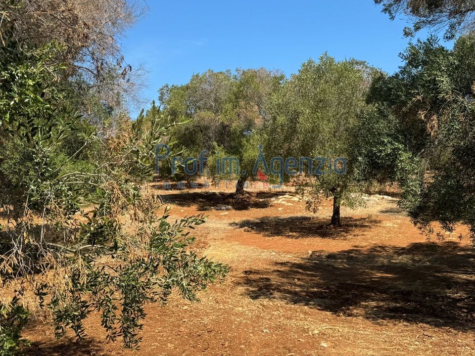 Helårsgrund i Carovigno, Brindisi - foto 3